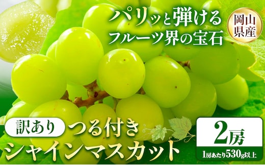【先行予約】岡山県産 訳あり つる付き シャインマスカット 2房 (530g以上) 有限会社ホーティカルチャー神島《9月上旬-10月中旬頃出荷》岡山県 浅口市 マスカット ぶどう 葡萄 果物【配送不可地域あり】---124_c3566_9a10b_25_18500_2h ---