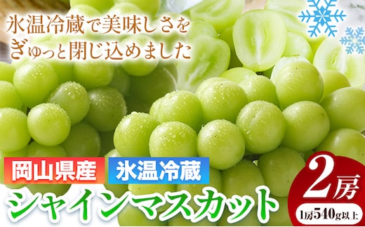 【発送先行予約】岡山県産 冷蔵 シャインマスカット 2房 (540g以上) 有限会社ホーティカルチャー神島《11月下旬-12月上旬頃出荷》岡山県 浅口市 マスカット ぶどう 葡萄 氷温冷蔵 果物 フルーツ【配送不可地域あり】---124_c3560_11c12a_25_23500_2h---