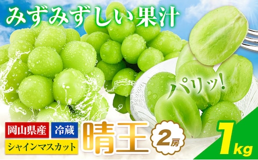【2026年先行予約】ぶどう シャインマスカット 晴王 2房 1kg 岡山県産《2026年9月上旬-10月末頃出荷(土日祝除く)》 ハレノフルーツ マスカット 送料無料 岡山県 浅口市 フルーツ 果物 贈り物 ギフト 国産 岡山県産 くだもの 青果物 【配送不可地域あり】（北海道・沖縄・離島）---124_c1945_9a10m_25_26500_1kg---