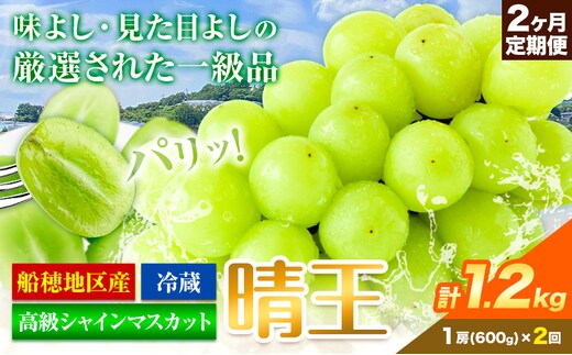 高級 シャインマスカット 2ヶ月 定期便 [2026年先行予約] ぶどう 晴王 1房600g×2ヶ月 計1.2kg 岡山県産 《9月上旬-10月末頃出荷(土日祝除く)》 ハレノフルーツ マスカット 送料無料 岡山県 浅口市 フルーツ 果物 贈り物 ギフト 国産 岡山県産【配送不可地域あり】（北海道・沖縄・離島）---124_c1969_25_41000_600g_tei---