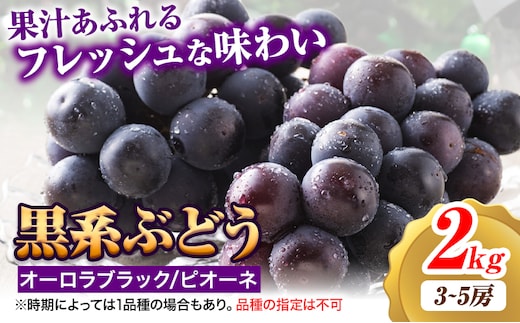 【2026年先行予約】黒系ぶどう 2kg ピオーネ オーロラブラック 岡山県産 3房 ~ 5房《2026年9月上旬-9月中旬頃出荷》ひらた農園 黒系ぶどう 送料無料 岡山県 浅口市 ぶどう フルーツ 果物 贈り物 ギフト 国産 くだもの 果物 青果物 食べ比べ セット---124_2002_9a9b_25_14500_2kg---