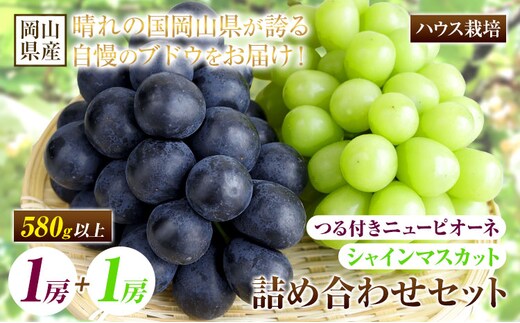 【先行予約】 岡山県産 つる付き ニューピオーネ & シャインマスカット 晴王 セット ハウス栽培 ニューピオーネ1房 マスカット1房 有限会社ホーティカルチャー神島《7月上旬-8月上旬頃出荷》岡山県 浅口市 ぶどう 詰め合わせ【配送不可地域あり】---124_c3586_7a8a_25_27000_1st---