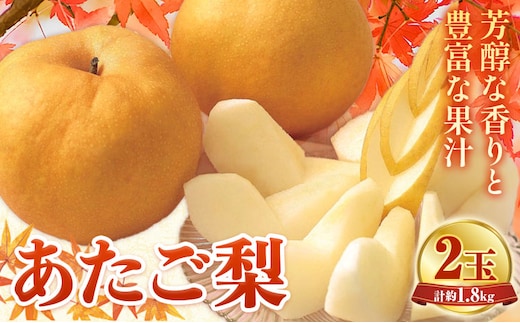 【2027年先行予約】あたご梨 2玉 計約1.8kg 環山堂株式会社《2027年11月下旬-12月中旬頃より発送予定》岡山県 浅口市 梨 なし 和梨 果物 フルーツ 送料無料---asakuchi_ksd_5_26---