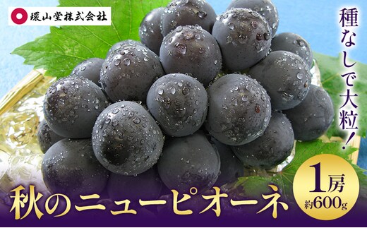 【2026年先行予約】秋の ニューピオーネ 1房 約600g 環山堂株式会社《2026年8月下旬-9月下旬頃出荷》岡山県 浅口市 ぶどう 葡萄 ピオーネ フルーツ 果物 送料無料---124_c2267_8c9c_25_12000_30---
