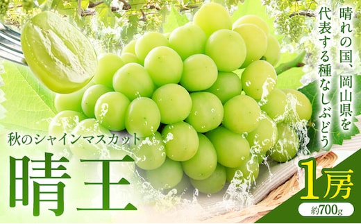 【2026年先行予約】秋のシャインマスカット 晴王 1房 環山堂株式会社《2026年9月上旬-10月上旬頃出荷》岡山県 浅口市 シャインマスカット マスカット ぶどう 果物 フルーツ 送料無料---124_c2269_9a10a_25_20000_30---