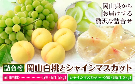【2026年先行予約】岡山白桃 と シャインマスカット 詰合せ 5玉 約1.5kg 2房 計約1.3kg 環山堂株式会社《2026年7月中旬-8月上旬頃出荷》岡山県 浅口市 桃 マスカット ぶどう 詰め合わせ 果物 送料無料---124_c2266_7b8a_25_50000_30---