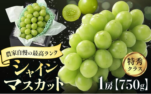 【2026年先行予約】ぶどう シャインマスカット 農家自慢の最高ランク シャインマスカット 1房 約750g 特秀クラス《2026年9月中旬-10月下旬頃出荷(土日祝除く)》 Nini farm マスカット 送料無料 岡山県 浅口市 フルーツ 果物 贈り物 国産 岡山県産---124_c2254_9b10c_25_19000_750g---