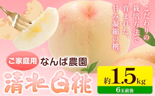 【2027年先行予約】ご家庭用 清水白桃 約1.5kg ( 6玉 前後 ) 《2027年6月中旬-8月下旬頃出荷》なんば農園 岡山県 浅口市 フルーツ モモ 果物 青果 旬 白桃 桃 訳アリ わけあり 訳あり【配送不可地域あり】（北海道・沖縄・離島）---asakuchi_nnb_2---