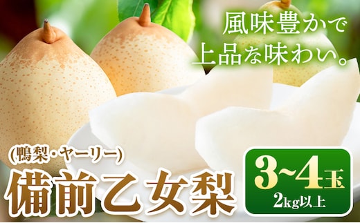 【先行予約】梨 なし 乙女梨 3~4玉 2kg 以上 石原果樹園 《11月中旬-12月下旬頃より発送予定》岡山県 浅口市 果物 フルーツ 梨 鴨梨 備前乙女梨 ヤーリー---124_3189_11b12c_25_18500_2kg---