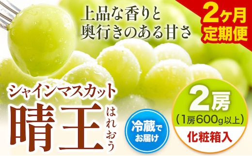 【2026年先行予約】【2ヶ月定期便】 シャインマスカット晴王 はれおう 2房入り(1房600g以上) 化粧箱入 株式会社山博(中本青果)《2026年8月下旬から9月下旬出荷》 定期 計2回お届け 岡山県 浅口市 ぶどう マスカット 大粒 フルーツ 秀品 果物 ギフト 送料無料 【配送不可地域あり】（北海道・沖縄・離島）---124_c1888_8c9c_25_45000_tei---