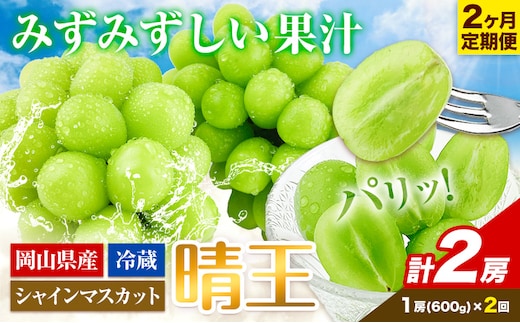 【2026年先行予約】ぶどう 2ヶ月 定期便 シャインマスカット 晴王 1房 約600g 岡山県産《9月上旬-10月末頃出荷》 ハレノフルーツ マスカット 送料無料 岡山県 浅口市 フルーツ 果物 贈り物 ギフト 国産 岡山県産 くだもの 【配送不可地域あり】（北海道・沖縄・離島）---124_c1952_25_32000_sep2_tei---