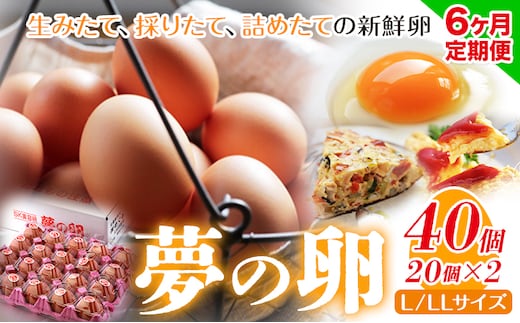 6ヶ月 定期便 卵 たまご 定期便 夢の卵 20個入り x 2セット L/LLサイズ《お申込み月翌月から出荷開始》株式会社めぐみ 岡山県 浅口市 送料無料 大容量 大箱 たっぷり Lサイズ LLサイズ---124_84tei_23_90500_mo6num1_s---