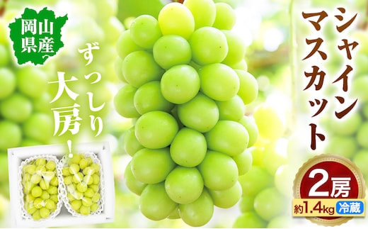 【先行予約】大粒 シャインマスカット 岡山県産 シャインマスカット 2房(約1.4kg)《9月末-10月下旬頃出荷》テレビせとうち株式会社 冷蔵 果物 ブドウ 送料無料 岡山県 浅口市 シャインマスカット【配送不可地域あり】---124_c2523_9m10c_25_27000_2p---