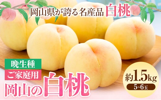 【2026年先行予約】【ご家庭用】 岡山の白桃 （晩生種） 約1.5kg 晴れの国 おかやま館(つむぐ株式会社) 《2026年8月上旬-8月下旬頃出荷》岡山県 浅口市 白桃 桃 果物【配送不可地域あり】（北海道・沖縄・離島）---124_2191_8a8c_25_17000_1500g---