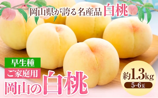 【2026年先行予約】ご家庭用 岡山の白桃 （早生種） 約1.3kg 晴れの国 おかやま館(つむぐ株式会社) 《2026年6月下旬-7月中旬頃出荷》岡山県 浅口市 白桃 桃 果物---124_2189_6c7b_25_15500_1300g---