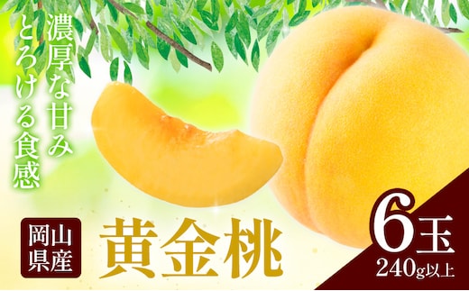 岡山県産 黄金桃 6玉 (240g以上) 有限会社ホーティカルチャー神島《9月上旬-9月中旬頃出荷》岡山県 浅口市 黄桃 桃 モモ 果物 スイーツ フルーツ デザート---124_c3555_9a9b_25_18500_6tm---