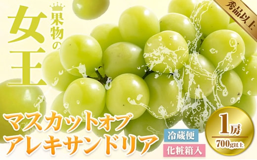 【2026年先行予約】マスカット オブ アレキサンドリア 1房(1房700g以上) 化粧箱入 株式会社山博(中本青果)《2026年7月中旬-7月下旬頃出荷》岡山県 浅口市 ぶどう マスカット 大粒 フルーツ 秀品 旬 果物 贈り物 ギフト 国産 岡山県産 送料無料 【配送不可地域あり】（北海道・沖縄・離島）---124_c1851_7b7c_25_20500_700g---