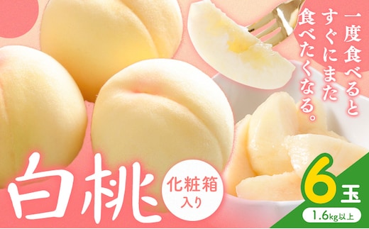 【2026年先行予約】白桃 6玉(1.6kg以上) 株式会社山博 (中本青果)《2026年7月上旬-8月上旬頃出荷》岡山県 浅口市 桃 もも フルーツ 旬 果物 国産 岡山県産 送料無料 冷蔵 化粧箱 【配送不可地域あり】（北海道・沖縄・離島）---124_c1848_7a8a_25_32000_6p---