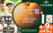 【先行予約】梨 あたご梨 4~9玉 計4.5kg 特選箱 石原果樹園 《11月中旬-12月下旬頃より発送予定》岡山県 浅口市 フルーツ 果物 ギフト 贈り物 国産 岡山県産 送料無料---124_3172_11b12c_25_26000_4500g---