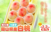 【2026年先行予約】岡山県産 白桃 晩生種 大玉 約2.2kg 6-7玉晴れの国 おかやま館(漂流岡山)《2026年7月下旬-9月中旬頃出荷》岡山県 浅口市 フルーツ モモ 果物 青果 旬【配送不可地域あり】（離島）---124_c2186_7c9b_25_31000_2200g---