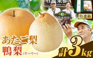 【先行予約】梨 なし 3kg 梨 秋 旬 なし あたご梨 1～3玉 鴨梨 3～5玉 特選箱 石原果樹園 《11月中旬-12月下旬頃より発送予定》岡山県 浅口市 果物 フルーツ 梨 詰め合わせ 贈答用---124_3182_11b12c_25_20000_3kg---