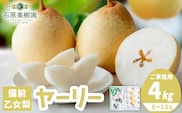 【先行予約】梨 なし ナシ ヤーリー 鴨梨  4kg 6～13玉《11月中旬-12月下旬頃より発送予定》石原果樹園 岡山県 浅口市 果物 フルーツ 新鮮---124_3197_11b12c_25_18500_4kg---