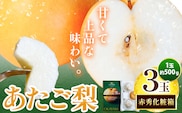 【先行予約】梨 なし ナシ あたご梨 約500g×3玉 化粧箱 赤秀化粧箱 石原果樹園 《11月中旬-12月下旬頃より発送予定》岡山県 浅口市 フルーツ 果物 ギフト 贈り物 国産 岡山県産 送料無料---124_3166_11b12c_25_11500_500g---