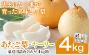 【先行予約】あたご梨2~3玉 ヤーリー3~7玉 家庭用詰め合わせ4kg箱 石原果樹園 《11月中旬-12月下旬頃より発送予定》岡山県 浅口市 梨 なし 果物 フルーツ くだもの あたご---124_3195_11b12c_25_20000_4kg---