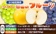 【2027年先行予約】定期便3回コース 岡山のフルーツ ニューピオーネ 2房 (1房600g以上) シャインマスカット 晴王 2房 (1房600g以上) あたご梨 2玉 (1玉約750g) 化粧箱入り 株式会社山博(中本青果) 《9月上旬-11月下旬頃出荷》 岡山県 浅口市 送料無料 【配送不可地域あり】（北海道・沖縄・離島）---124_c4238_9j11g_25_56500_tei---