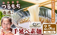 素麺 ソーメン お徳用手延べ素麺 50g × 50束 2.5kg かも川手延素麺株式会社《30日以内に発送予定(土日祝除く)》岡山県 浅口市 紙箱入 お土産 ご家庭用 送料無料---124_1527_30d_23_17500_2---