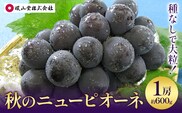 【2026年先行予約】秋の ニューピオーネ 1房 約600g 環山堂株式会社《2026年8月下旬-9月下旬頃出荷》岡山県 浅口市 ぶどう 葡萄 ピオーネ フルーツ 果物 送料無料---124_c2267_8c9c_25_12000_30---