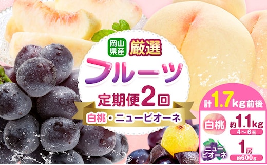 【先行予約】岡山県産 厳選 フルーツ 定期便 2回 白桃 ニューピオーネ 計1.7kg前後 株式会社藍《2026年7月上旬-9月末頃出荷》 岡山県 浅口市 岡山県産 白桃 桃 ニューピオーネ 種無し 旬 フルーツ 果物 くだもの 送料無料 【配送不可地域あり】---124_c1987_7a9m_25_25000_jul2_tei---