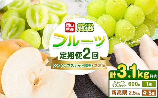 岡山県産 厳選 フルーツ 定期便 2回 シャインマスカット 晴王 新高梨 計3.1kg前後 株式会社藍《9月上旬-10月下旬頃出荷》 岡山県 浅口市 岡山県産 シャインマスカット 新高梨 梨 旬 フルーツ 果物 くだもの 送料無料 【配送不可地域あり】（北海道・沖縄・離島）---124_c3241tei_9a10c_25_sep2---