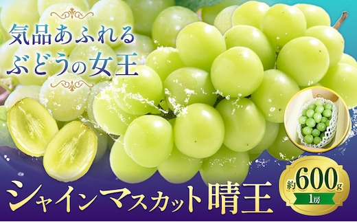 ぶどうシャインマスカット 約 600g 1房 【配送不可地域あり】 株式会社藍《9月上旬-10月下旬頃出荷》 岡山県 浅口市 岡山県産 ぶどう フルーツ 果物 くだもの マスカット 送料無料---124_c3248_9a10c_25_16500_600g---