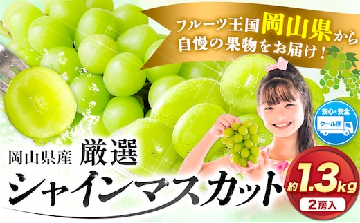 【アフター保証付】シャインマスカット 訳あり約1.3kg(2房)【2026年先行予約】《9月上旬-11月上旬頃に出荷》｜シャインマスカット人気シャインマスカット 岡山県産シャインマスカット 産地直送 シャインマスカット おすすめシャインマスカット 産地岡山県 浅口市 シャインマスカット ぶどう フルーツ 果物 贈り物 ギフト 国産 岡山県産 送料無料---124_c2402_9a11a_25_13500_2p---