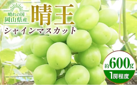ぶどう シャインマスカット晴王 約600g 橋田商店有限会社《9月中旬-11月中旬頃出荷》 岡山県 浅口市 岡山県産 ぶどう フルーツ 果物 くだもの マスカット 送料無料【配送不可地域あり】(北海道・沖縄・離島)---124_c3758_9b11b_25_14500_600g---