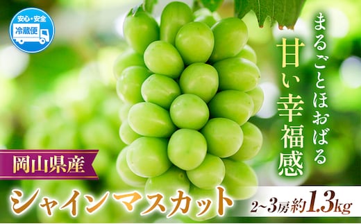 【2026年先行予約】岡山県産 シャインマスカット 約1.3kg ( 2-3房 ) クール便 晴れの国 おかやま館(フルーツランド岡山) 《2026年8月下旬-9月下旬頃出荷》岡山県 浅口市【配送不可地域あり】（離島）---124_c2182_8c9c_25_25000_1300g---