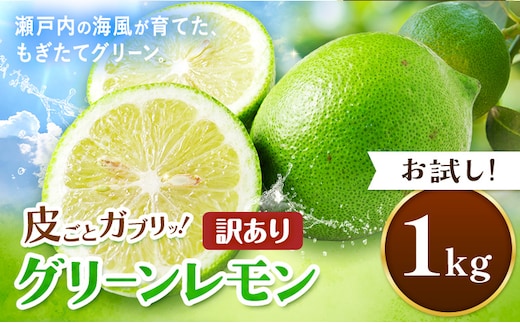 【先行予約】皮ごとガブリ！ 三ツ山 グリーン レモン 訳あり 1kg 三ツ山レモンファーム《9月下旬-3月中旬頃出荷》岡山県 浅口市 れもん 檸檬 防腐剤不使用 ワックス不使用 送料無料---124_3889_9c3b_25_5500_1kg---