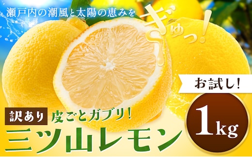 《先行予約》 訳あり 三ツ山レモン 1kg 三ツ山レモンファーム《12月下旬-3月中旬頃出荷》岡山県 浅口市 送料無料 れもん 檸檬 わけあり ワケあり お取り寄せ---124_3033_9c3b_25_5000_1kg---