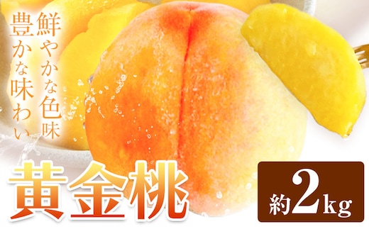 黄金桃 約2kg 花田青果株式会社《8月下旬-9月上旬頃出荷》岡山県 浅口市 黄桃 桃 もも 旬 フルーツ 果物 【配送不可地域あり】（離島） ---124_c2530_8c9a_25_13500_2kg---