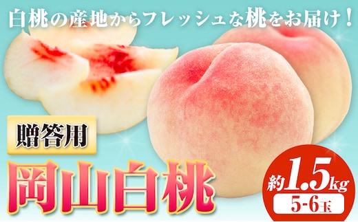 【2026年先行予約】贈答用 桃 内容量 1.5kg ハレノフルーツ （犬塚農園） 《2026年6月末-8月中旬頃出荷》岡山県 浅口市 フルーツ モモ 果物 青果 旬 おかやま夢白桃 白麗 白鳳 清水白桃 なつごころ 加納岩白桃【配送不可地域あり】（北海道・沖縄・離島）---124_c1795_6m8b_26_27500_1500g---