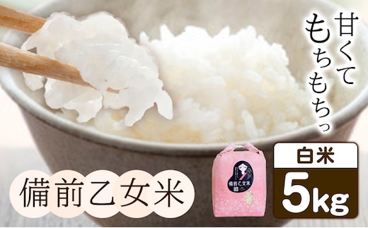 米 こめ コメ 備前乙女米 白米 4kg 石原果樹園《30日以内に出荷予定（土日祝除く）》岡山県 浅口市 ご飯 お米 国産 岡山県産 送料無料---124_3210_30d_25_17000_2h---