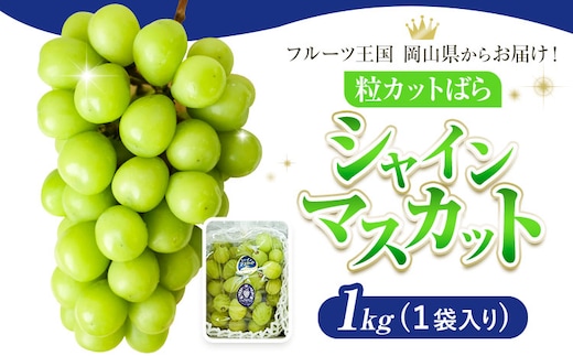 シャインマスカット 粒カット ばら 1kg Lino ＆ Kai Farm《2026年10月上旬-11月中旬頃出荷》マスカット 送料無料 岡山県 浅口市 シャインマスカット 岡山 ぶどう フルーツ 果物---124_c3925_10a11b_25_13500_b1---