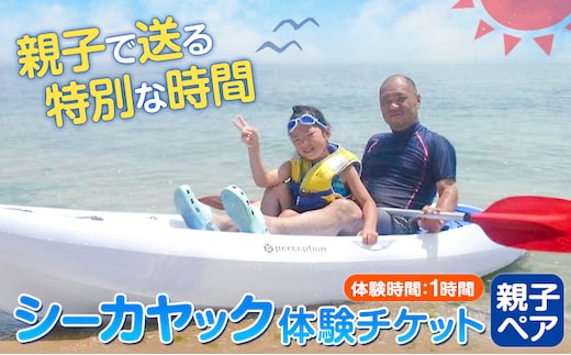 シーカヤックチケット 親子ペア 体験時間 1時間 NPO法人あさくちスポーツクラブ遊ぶところ《90日以内に出荷予定(土日祝除く)》岡山県 浅口市 シーカヤック カヤック 体験 親子 ペア チケット 海---124_76_90d_23_12000_f1---