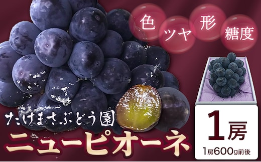 【2026年先行予約】ぶどう ニューピオーネ 1房(約600g前後) たけまさぶどう園 《2026年7月中旬-10月上旬頃出荷》岡山県 浅口市 送料無料 フルーツ 果物 岡山県産 青果物 お取り寄せフルーツ【配送不可地域あり】（北海道・沖縄・離島）(離島)---124_c2010_7b10a_25_16000_1---