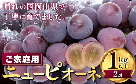 【2026年先行予約】ぶどう ニューピオーネ ご家庭用 1kg 以上 2房《2026年8月上旬-9月中旬頃出荷》株式会社fruceed ぶどう 送料無料 岡山県 浅口市 ぶどう フルーツ 果物 くだもの ピオーネ 家庭用---124_c2004_8a9b_25_10000_1kg---