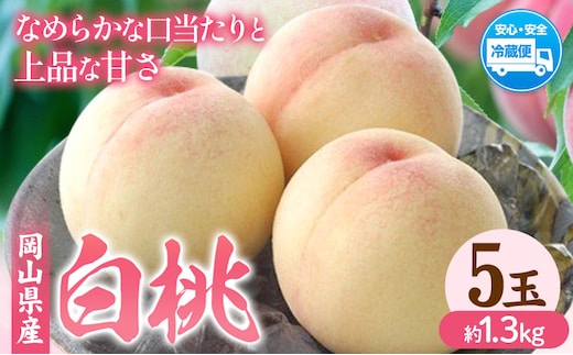 【2026年発送先行予約】岡山県産 白桃 内容量 5玉（約1.3kg） クール便 晴れの国 おかやま館(フルーツランド岡山) 《2026年7月中旬-7月下旬頃発送予定》岡山県 浅口市 白桃 桃【配送不可地域あり】（離島）---124_c2177_7b7c_25_20000_5p---