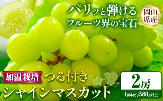 【先行予約】岡山県産 つる付き シャインマスカット 2房 （580g以上） 加温栽培 有限会社ホーティカルチャー神島《7月中旬-8月上旬頃出荷予定》岡山県 浅口市 マスカット ぶどう 葡萄 果物【配送不可地域あり】---124_c3562_7b8a_25_30500_2j---