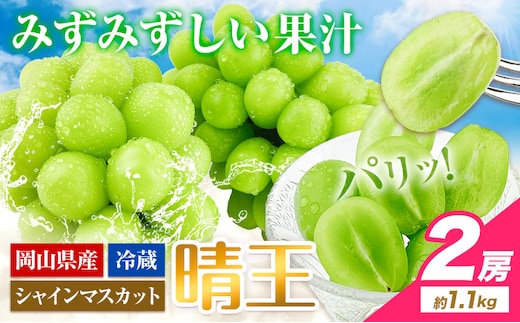 【2026年先行予約受付】ぶどう シャインマスカット 晴王 岡山県産 2房 約1.1kg《9月上旬-10月末頃出荷》 ハレノフルーツ マスカット 送料無料 岡山県 浅口市 フルーツ 果物 贈り物 ギフト 国産 岡山県産 くだもの 青果物 【配送不可地域あり】（北海道・沖縄・離島）---124_c1950_9a10m_25_28000_1100g---
