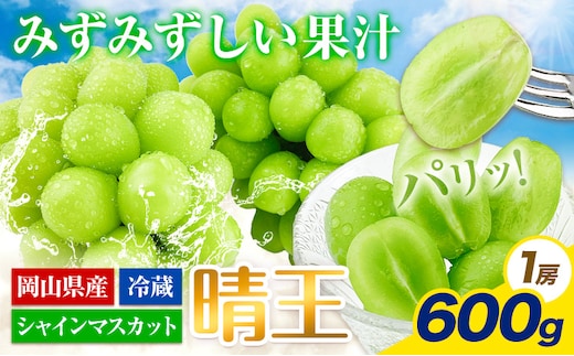 【2026年先行予約受付】ぶどう シャインマスカット 晴王 600g 岡山県産《7月上旬-8月末頃出荷》 ハレノフルーツ マスカット 送料無料 岡山県 浅口市 フルーツ 果物 国産 岡山県産 くだもの 青果物【配送不可地域あり】（北海道・沖縄・離島）---124_c1923_7a8m_25_22000_600g---